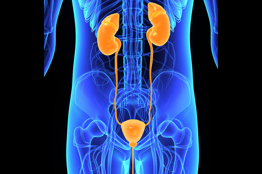 Urología